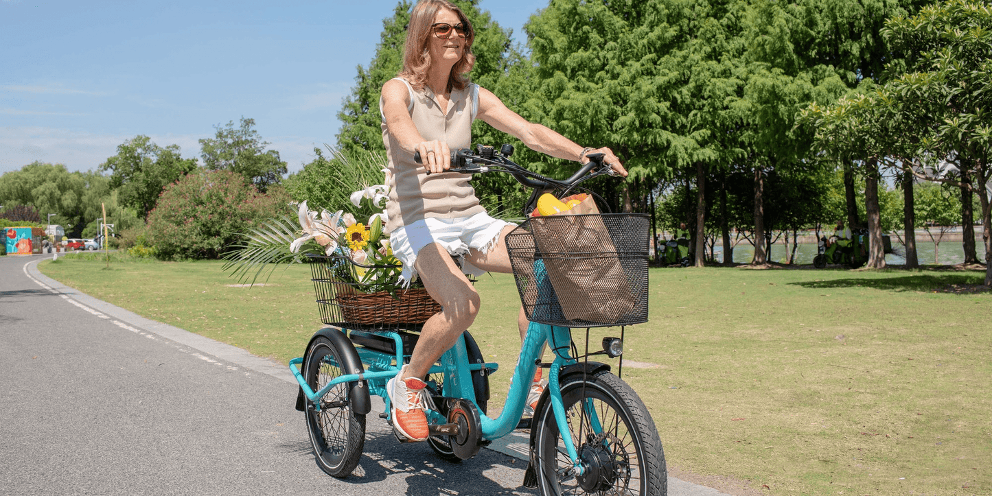 Aitour Heal Mini Folding Electric Trike 250W