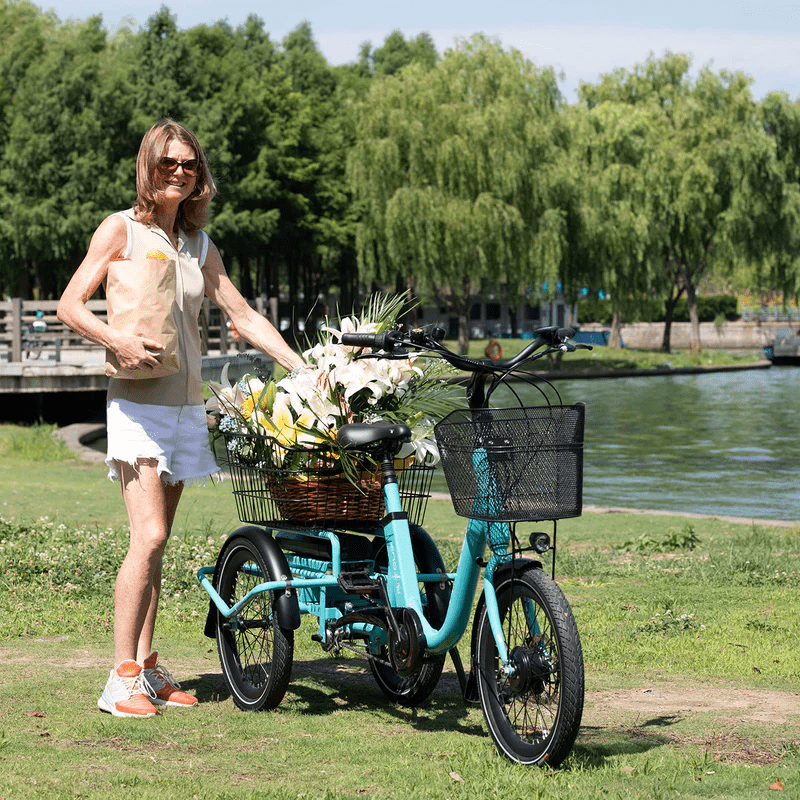 Aitour Heal Mini Folding Electric Trike 250W