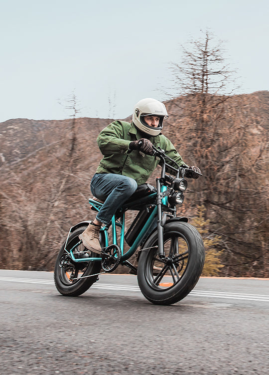 Mountain Ebikes
