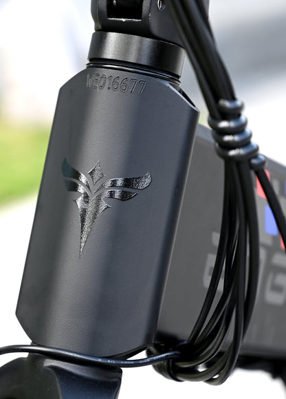 ENGWE ENGINE X - My Store