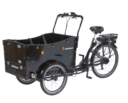 Kindergarten Electric Cargo Bike