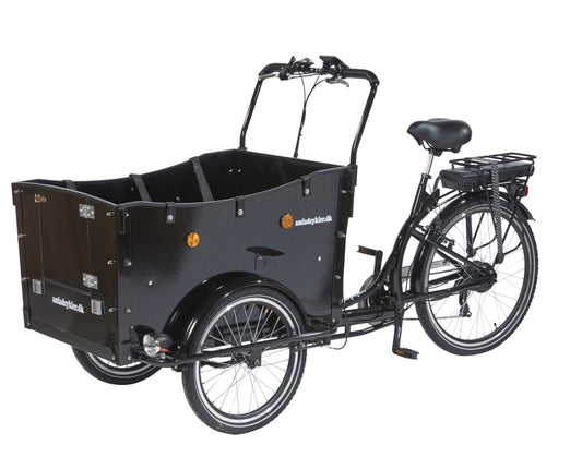 Kindergarten Electric Cargo Bike