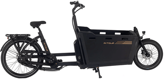Aitour Electric Cargo Bike - Basalt 250W