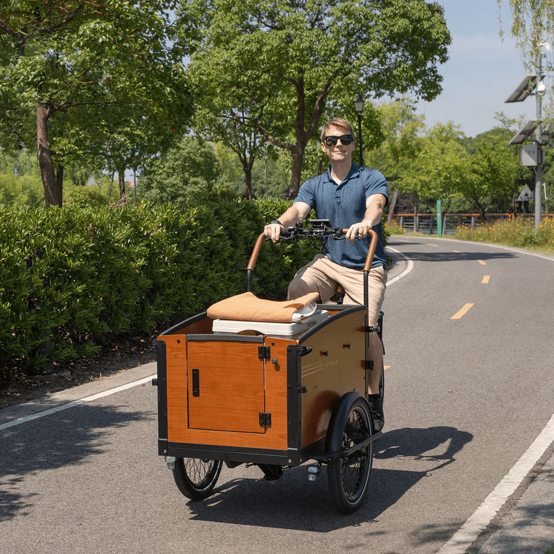 Aitour Electric Cargo Bike - Family S 250W - My Store