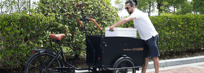 Aitour Electric Cargo Bike - Starter 250W