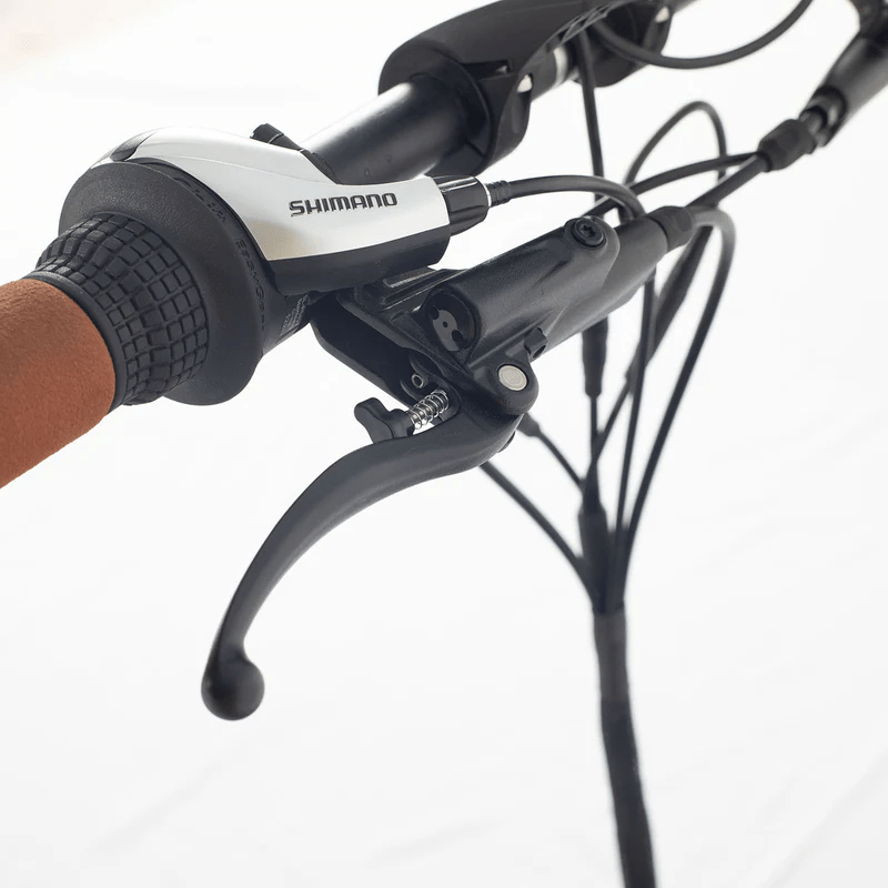 Aitour Electric Cargo Bike - Starter 250W