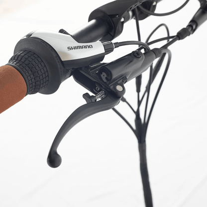 Aitour Electric Cargo Bike - Starter 250W