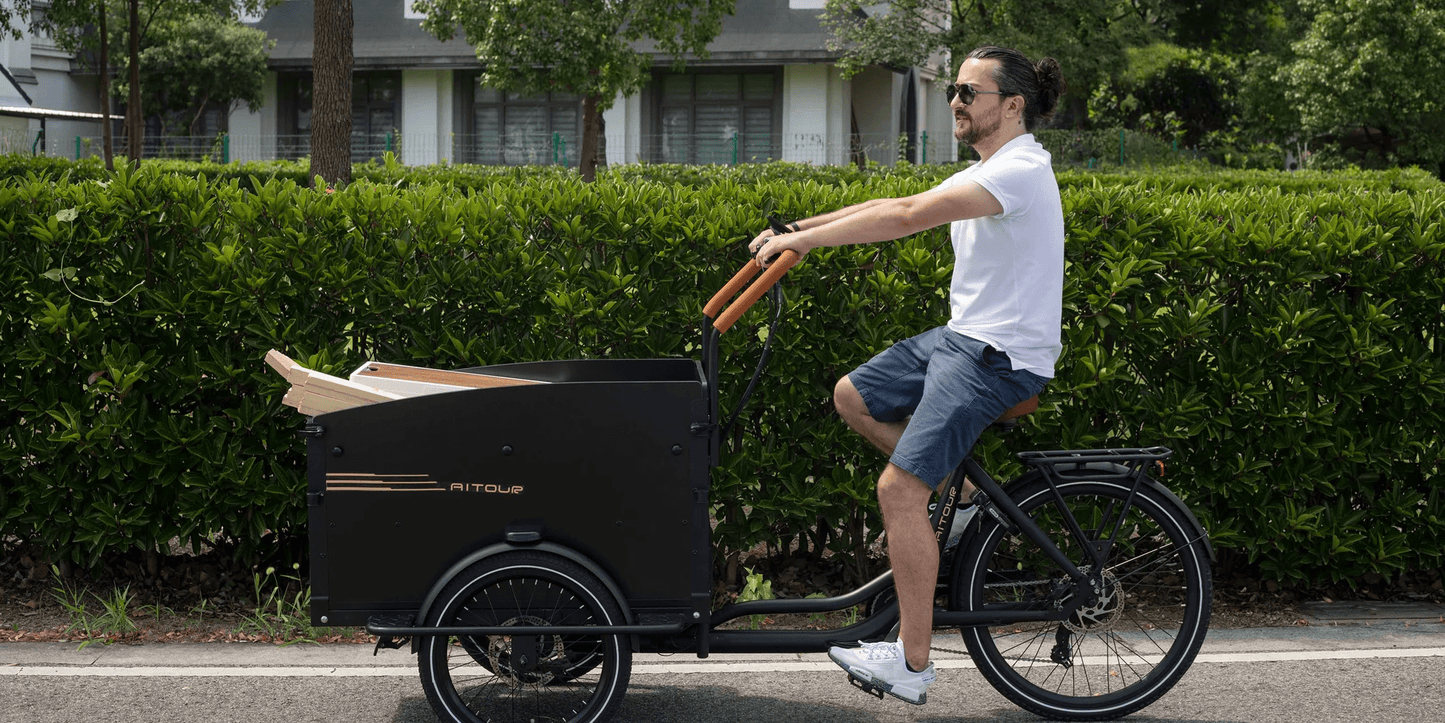 Aitour Electric Cargo Bike - Starter 250W