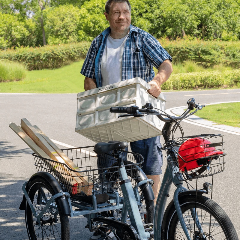 Aitour Heal Middle Electric Trike 250W - My Store