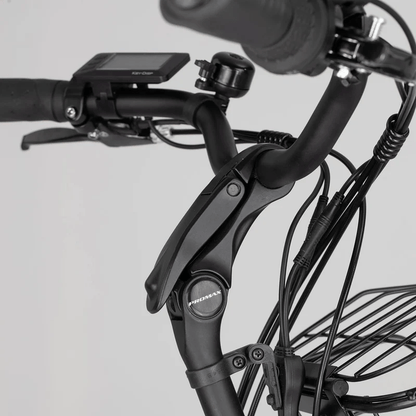 Aitour Heal Middle Electric Trike 250W